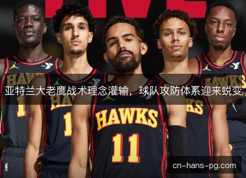 亚特兰大老鹰战术理念灌输，球队攻防体系迎来蜕变