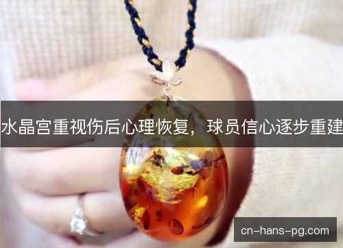 水晶宫重视伤后心理恢复,球员信心逐步重建 水晶宫重视伤后心理恢复,球员信心逐步重建